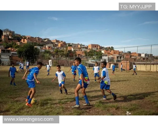 巴西与奥地利足球赛结果揭晓精彩瞬间回顾与分析