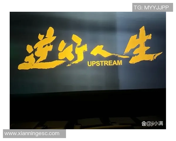 张昊的成长之路：从青涩少年到职场精英的奋斗故事与人生启示