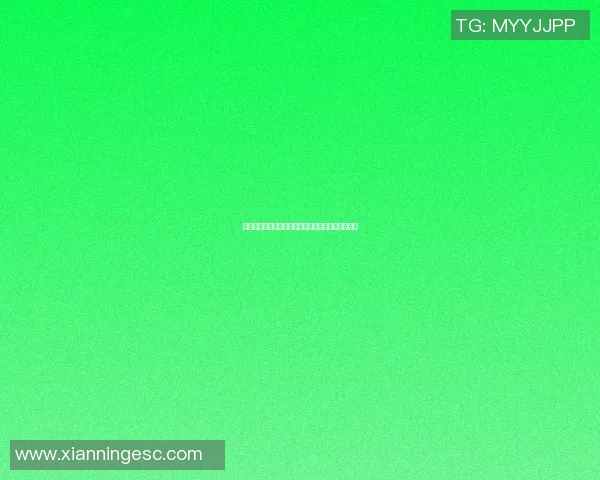 曼联对谢菲联比赛前瞻及预测分析助你掌握赛局动态