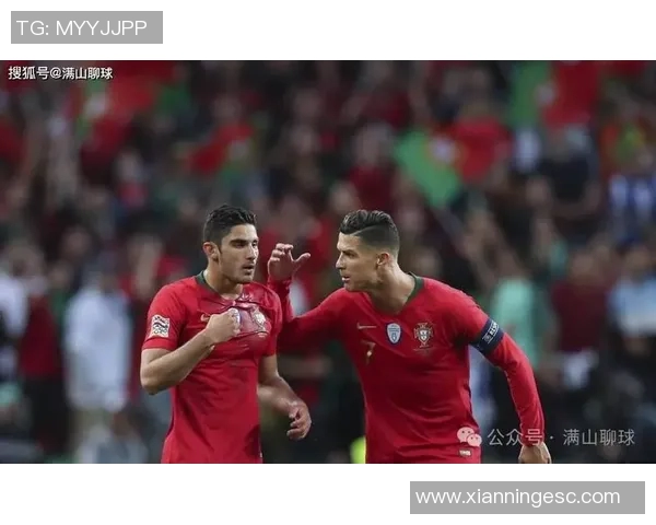 葡萄牙与塞尔维亚足球对决全方位分析及战术解析