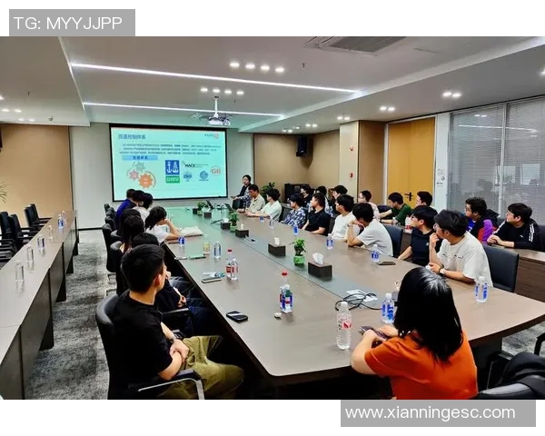 重庆飞盘队状态分析与未来发展展望的深度探讨