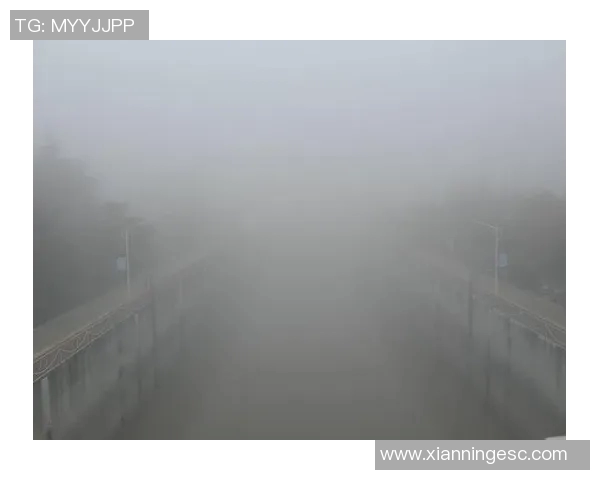 铁路工厂在飓风直播中如何应对极端天气挑战与安全保障措施探讨