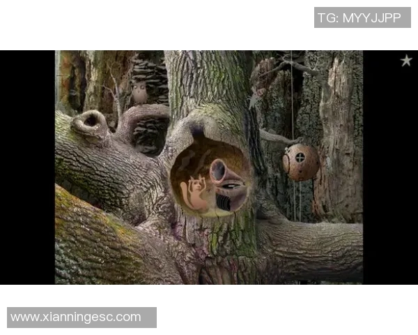 布莱克尼的奇幻冒险探索之旅揭示未知世界的神秘与魅力